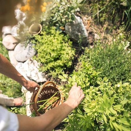 Chalet Alpenrose Bio Wellness Naturhotel Cogolo Ngoại thất bức ảnh